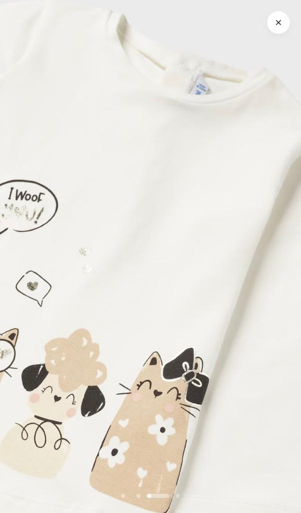 Set Cats&Dogs